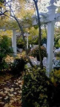 מלון קיימברידג' Parkside On Ellery מראה חיצוני תמונה
